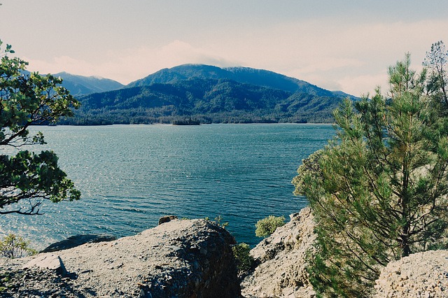 Image by JayMantri from Pixabay