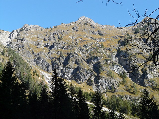 Image by Hans Braxmeier from Pixabay
