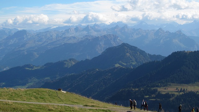 Image by Ernst Dittmar from Pixabay