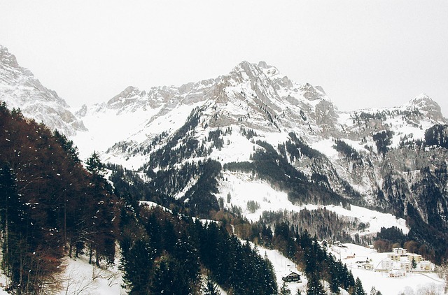 Image by fancycrave1 from Pixabay
