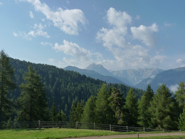 Image by Joachim Mitterutzner from Pixabay