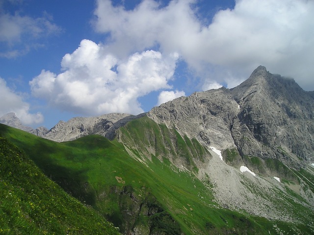Image by Simon Steinberger from Pixabay