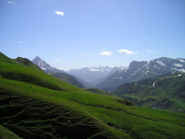 Image by Simon Steinberger from Pixabay