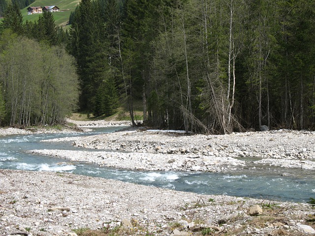 Image by Neustart from Pixabay