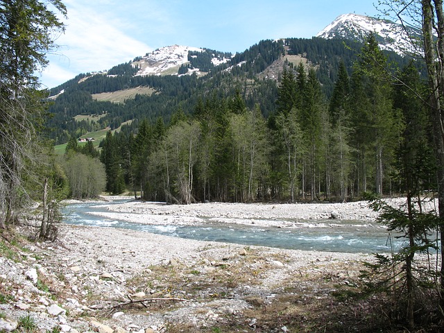Image by Neustart from Pixabay