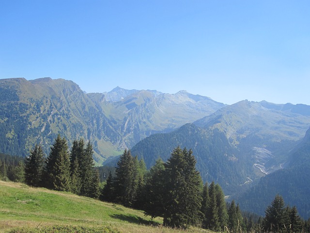 Image by photosforyou from Pixabay