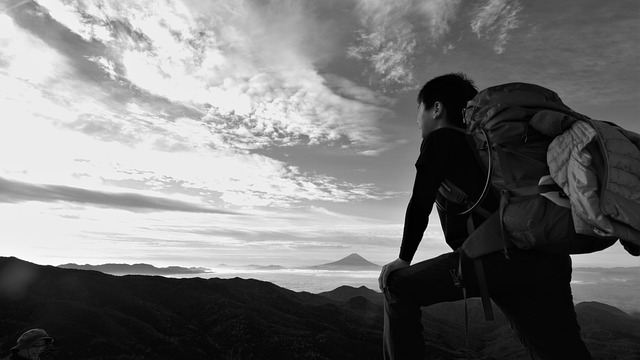 Image by 博 岩本 from Pixabay