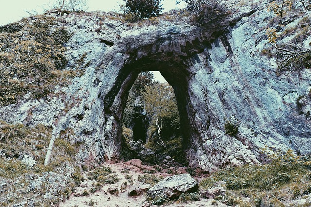 Image by Free-Photos from Pixabay