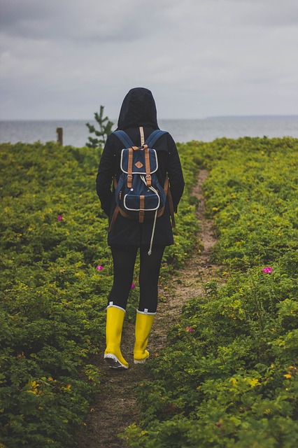 Image by Pexels from Pixabay