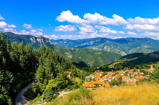 Image by Ivaylo Ivanov from Pixabay