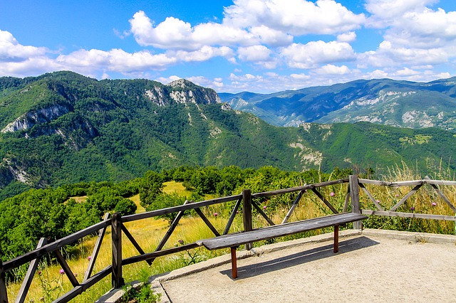 Image by Ivaylo Ivanov from Pixabay