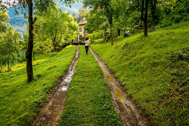 Image by Ivaylo Ivanov from Pixabay
