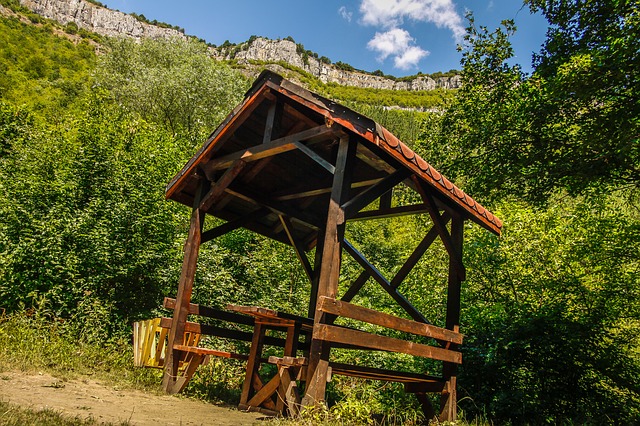 Image by Ivaylo Ivanov from Pixabay