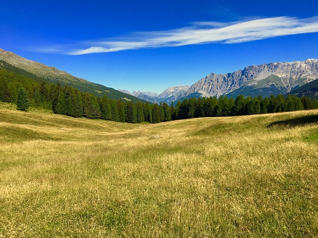 Image by Stefano Cazzaniga from Pixabay