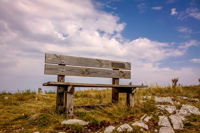 Image by Ivaylo Ivanov from Pixabay