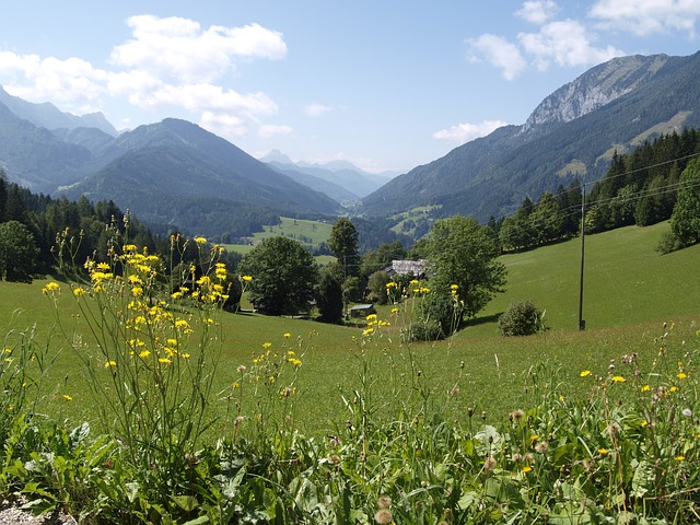 Image by gefrorene_wand from Pixabay