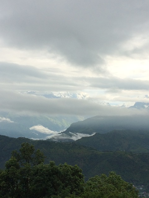 Image by Shimul Nath from Pixabay