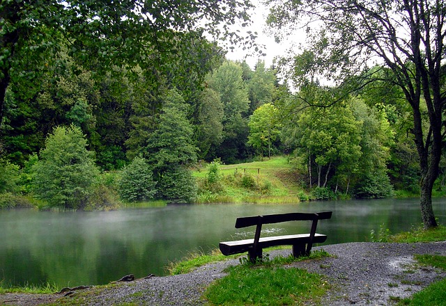 Image by Anita Menger from Pixabay