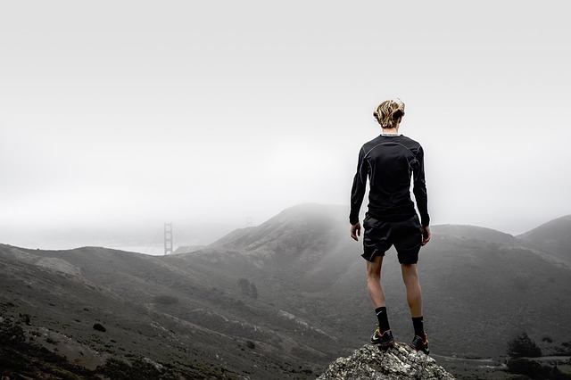 Image by StockSnap from Pixabay
