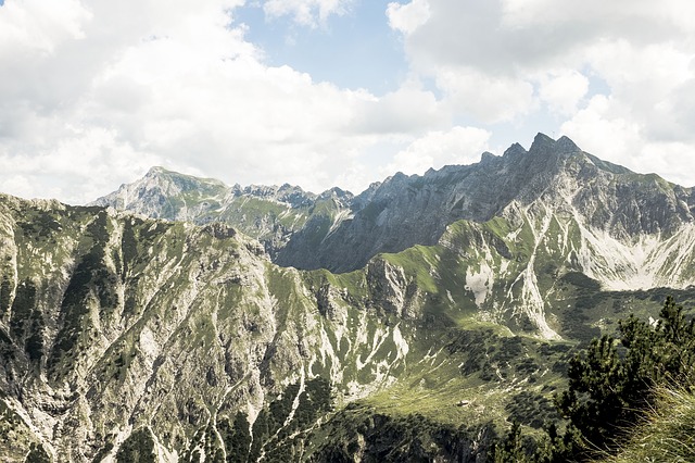 Image by StockSnap from Pixabay