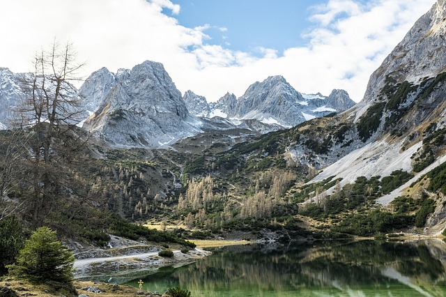 Image by StockSnap from Pixabay