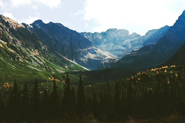 Image by StockSnap from Pixabay
