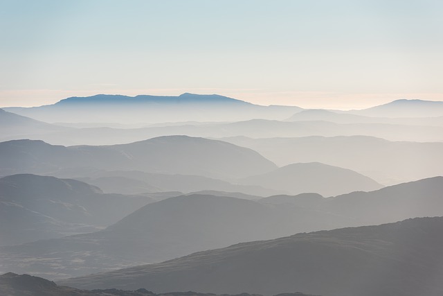 Image by StockSnap from Pixabay