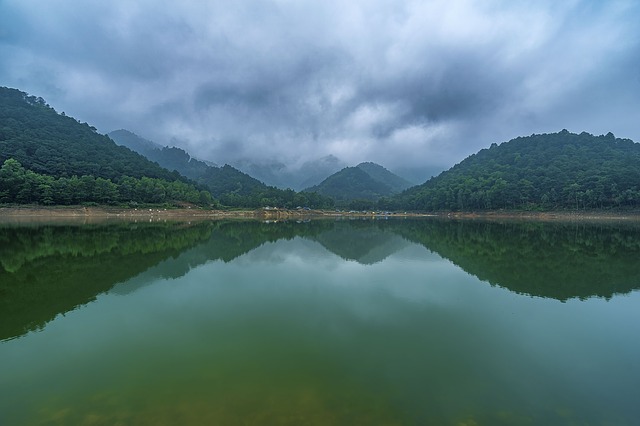 Image by StockSnap from Pixabay