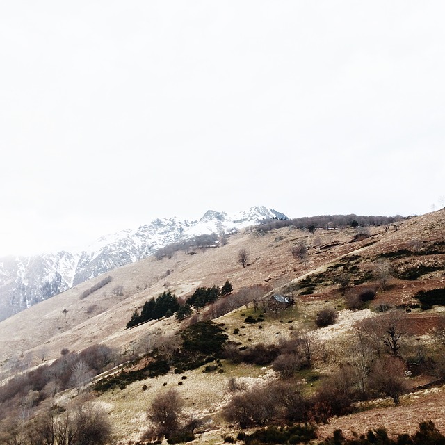 Image by StockSnap from Pixabay