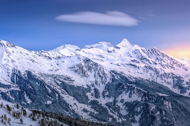 Image by StockSnap from Pixabay