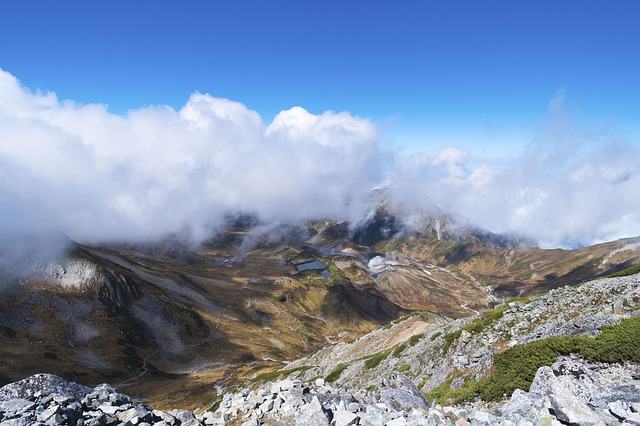 Image by StockSnap from Pixabay