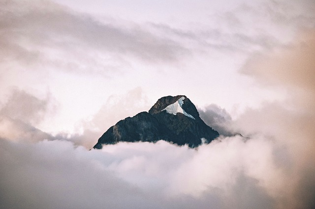 Image by StockSnap from Pixabay