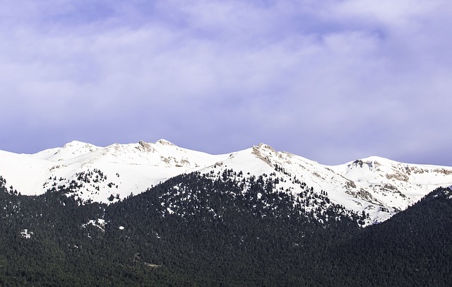 Image by StockSnap from Pixabay