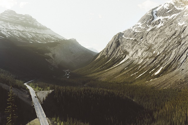 Image by StockSnap from Pixabay