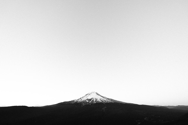Image by StockSnap from Pixabay
