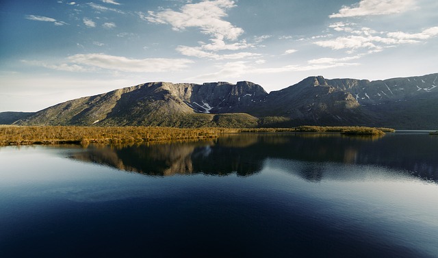 Image by StockSnap from Pixabay