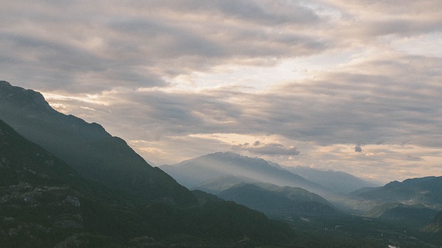 Image by StockSnap from Pixabay