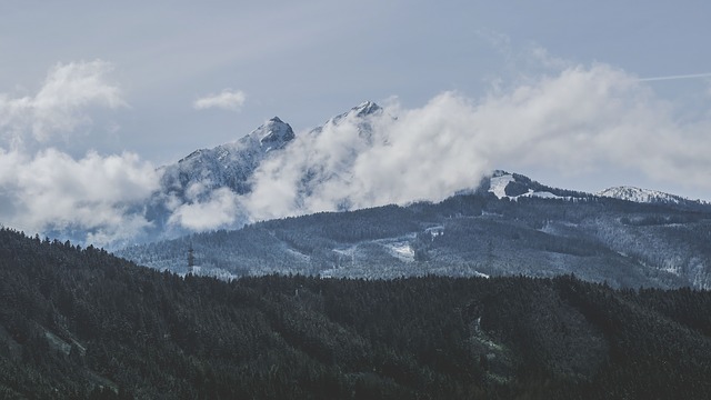 Image by StockSnap from Pixabay