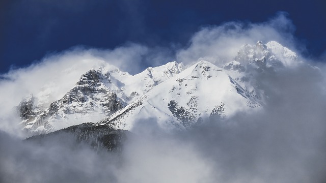 Image by StockSnap from Pixabay