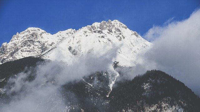 Image by StockSnap from Pixabay