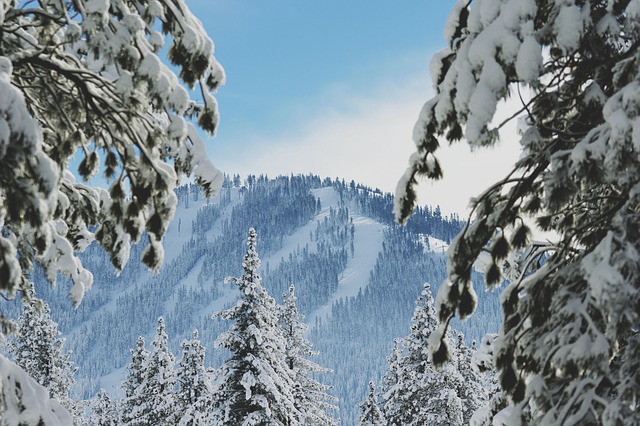 Image by StockSnap from Pixabay