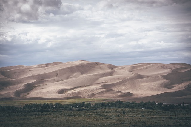 Image by StockSnap from Pixabay