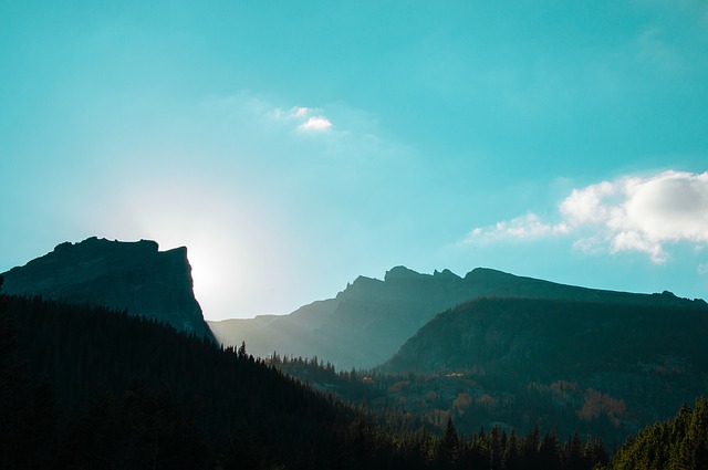 Image by StockSnap from Pixabay