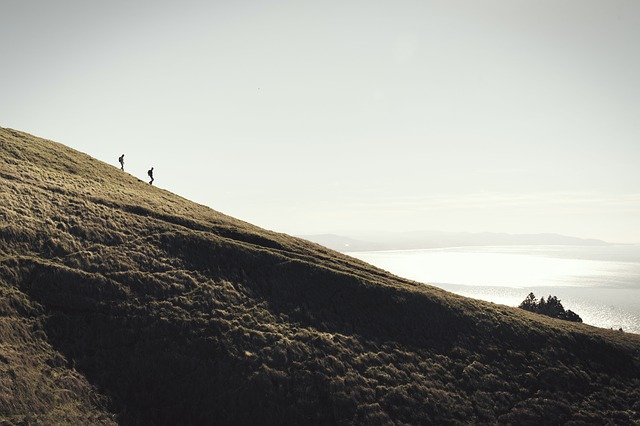 Image by StockSnap from Pixabay