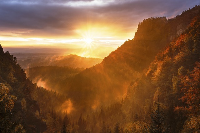 Image by StockSnap from Pixabay