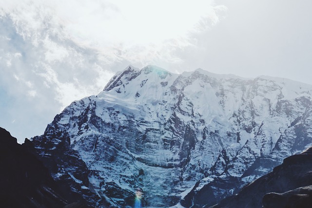 Image by StockSnap from Pixabay