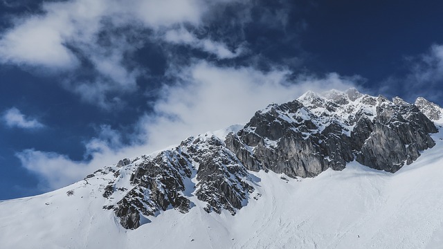Image by StockSnap from Pixabay