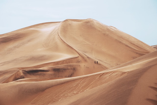 Image by StockSnap from Pixabay
