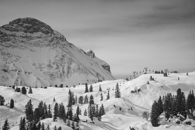 Image by StockSnap from Pixabay