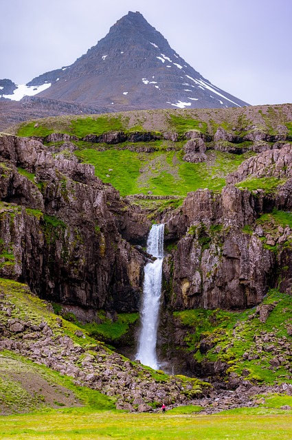 Image by StockSnap from Pixabay